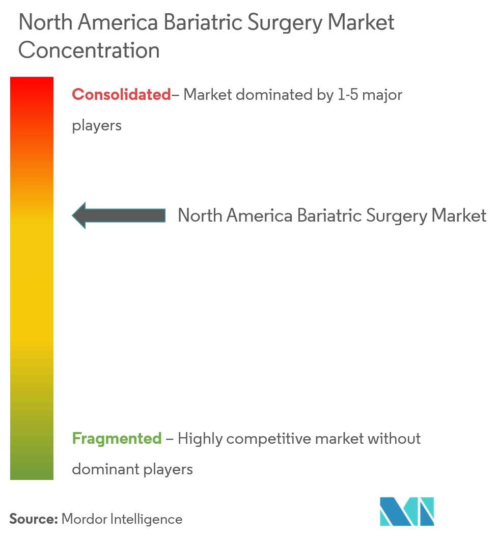 North America Bariatric Surgery Market